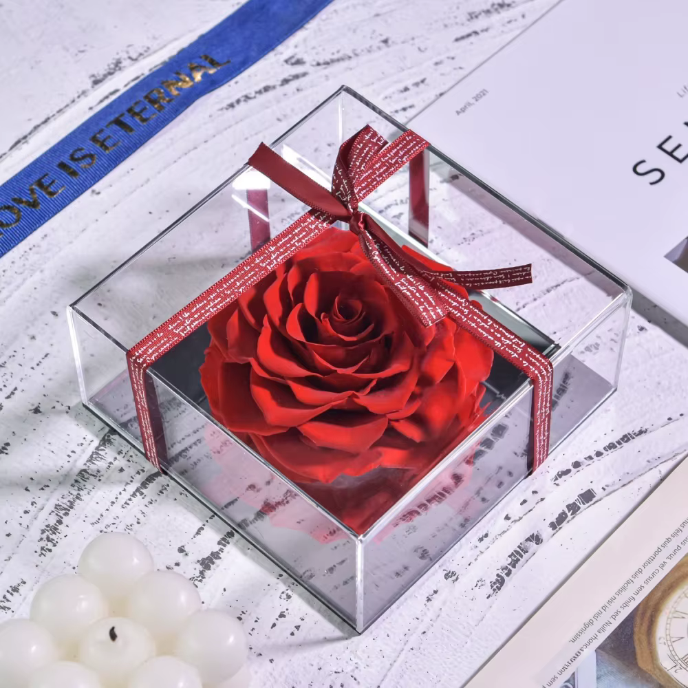 Rose éternelle chaude grande fleur conservée acrylique boîte-cadeau transparente saint valentin noël