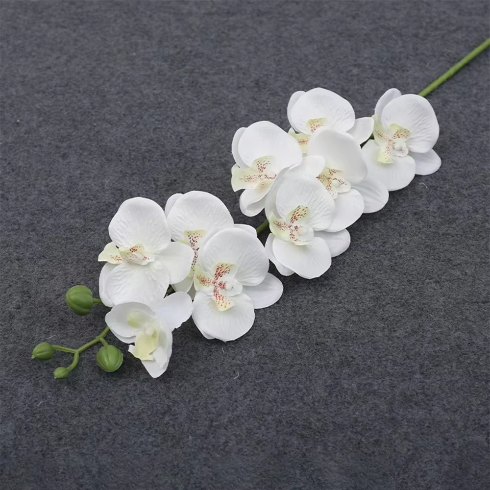 Branches de fleurs artificielles de Phalaenopsis, 69cm, tiges d'orchidées en Faux toucher réel pour