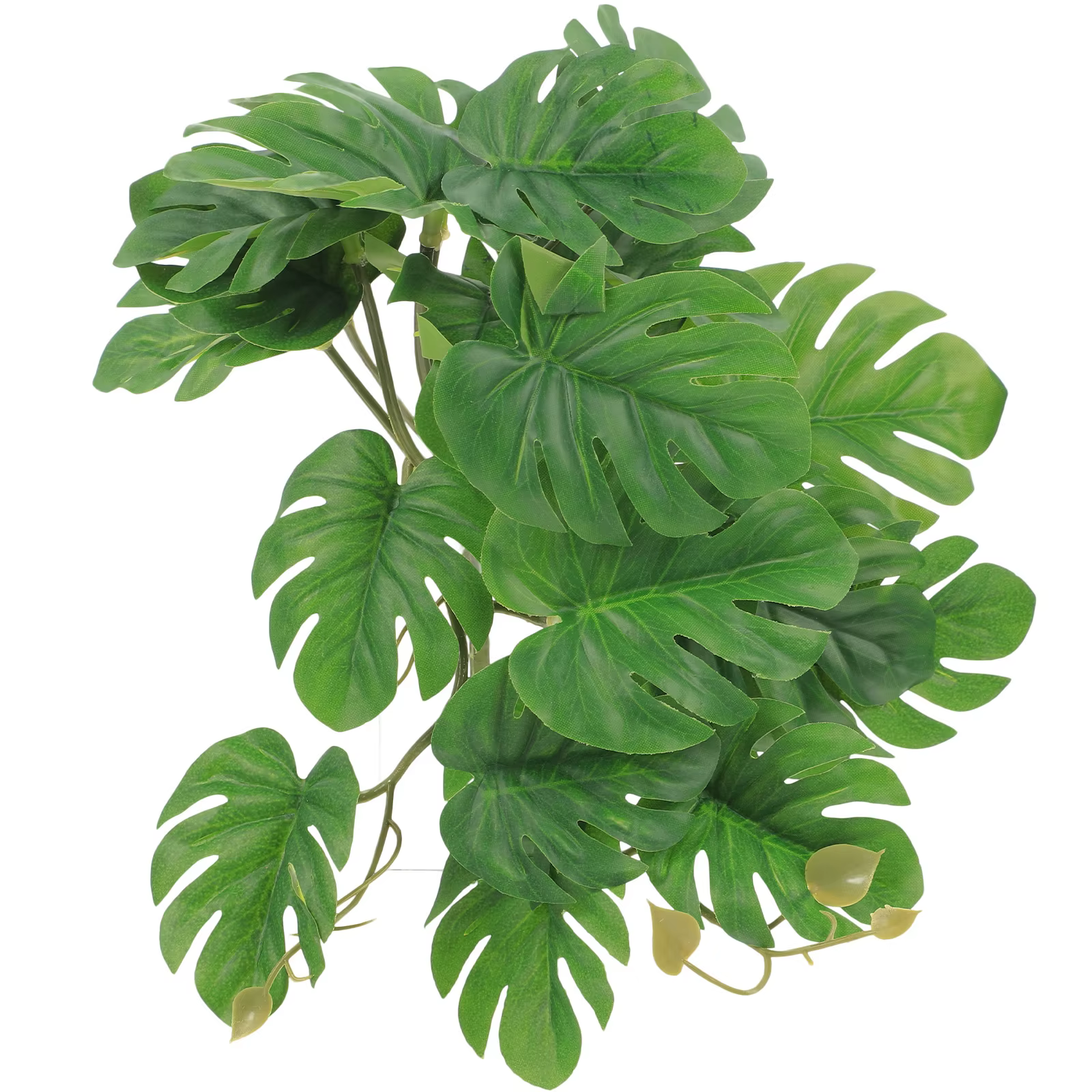 Plantes de Reptile pour Terrarium, plantes d'aménagement paysager, décoration de réservoir de Reptil