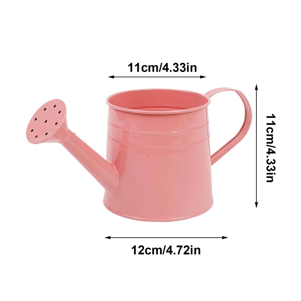 Petit arrosoir pour plantes d'intérieur, 1l, Long bec, arrosoir pour fleurs, seau d'arrangement flor