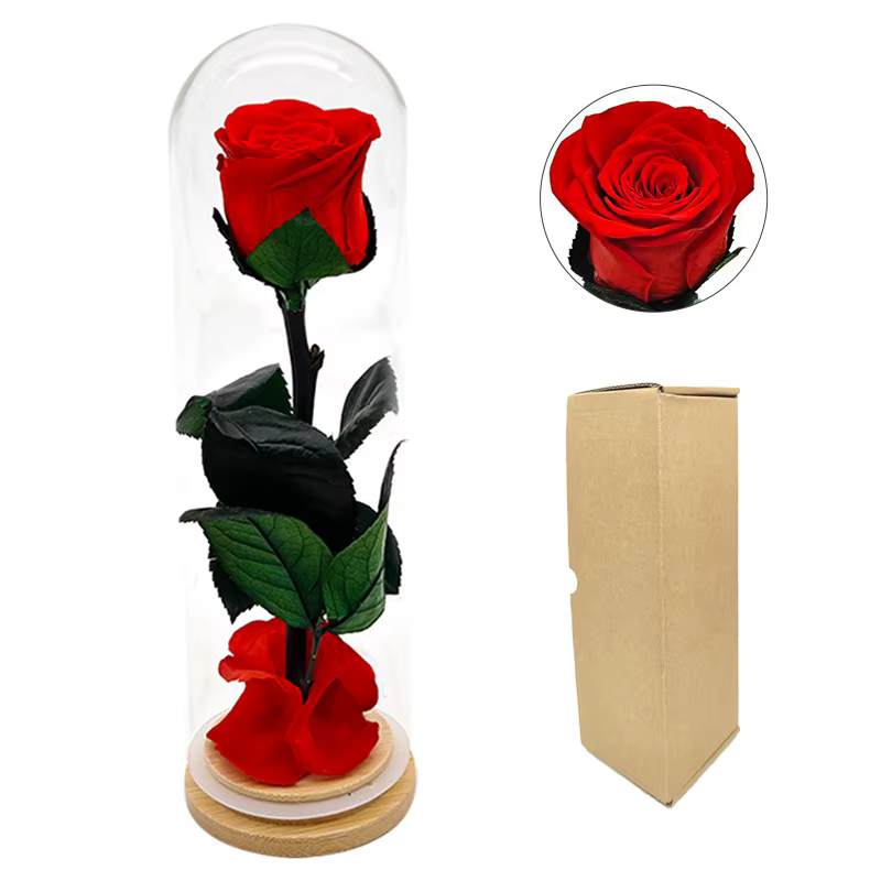 Forever Rose têtes couvercle en verre fini fleurs conservées fête des mères saint valentin anniversa