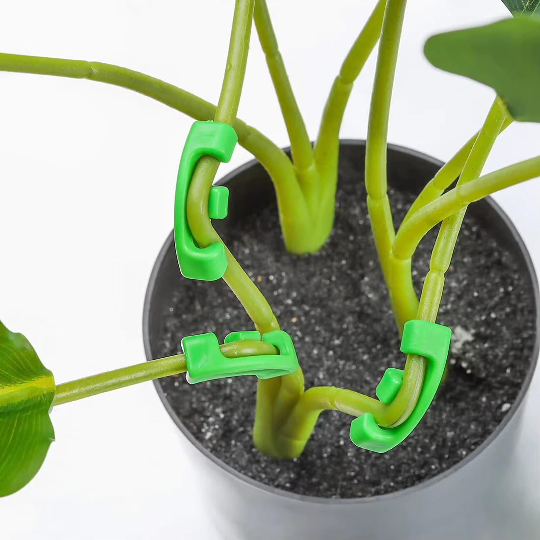 HLES 36 pièces entraîneur de plantes à 90 degrés pour l'entraînement à faible Stress Clips de pliage
