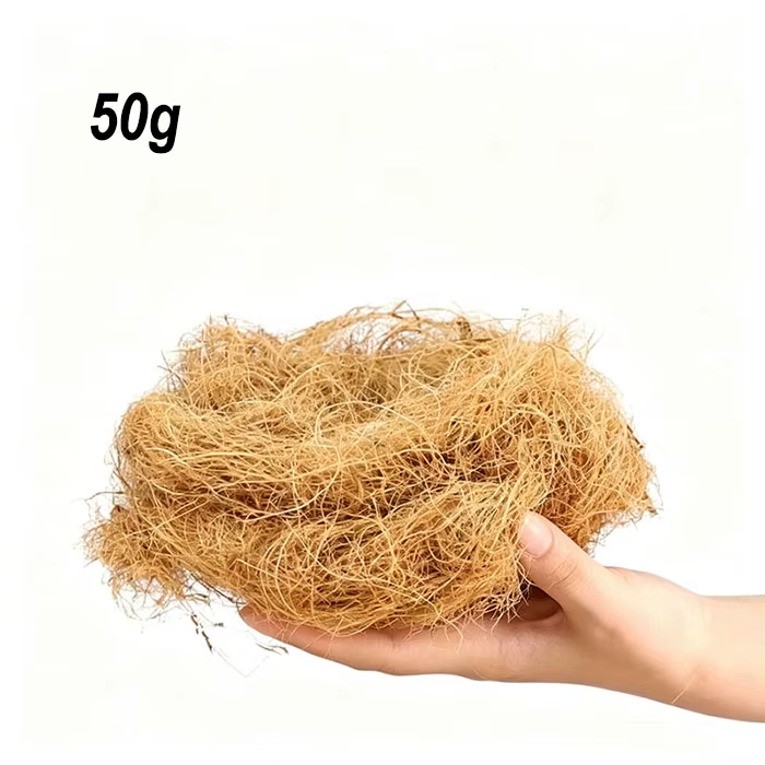 50g/100g Fibres de coco naturelles et biologiques longues pour couverture de pot de plantes, maintie
