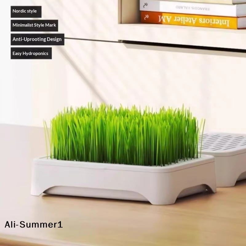 【E】Pot de culture hydroponique pour herbe à chat, culture sans terre, pot pour semis de blé, disposi