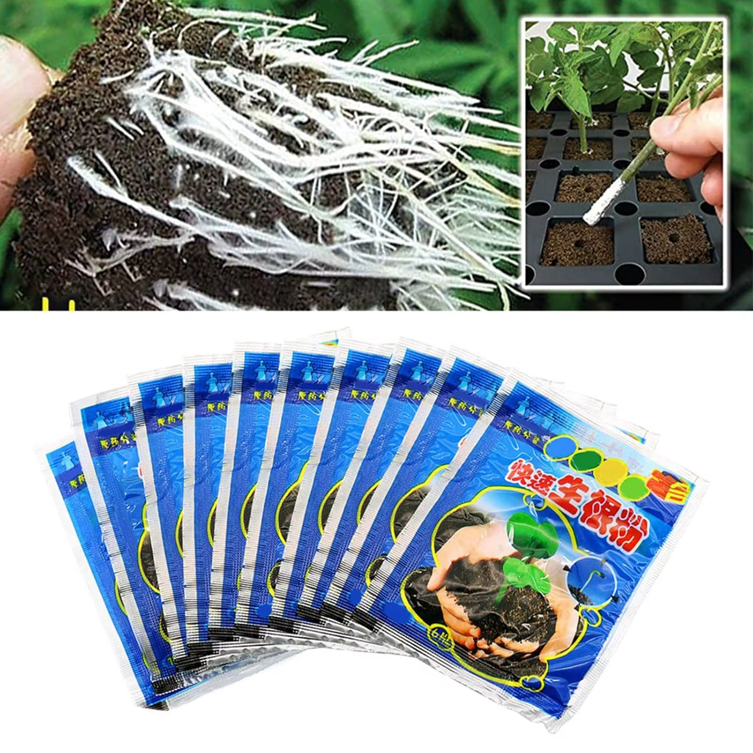 10 Sachets de 10g de Poudre d'Enracinement pour Semis, Hormone de Racine, Stimulateur de Racine, Eng
