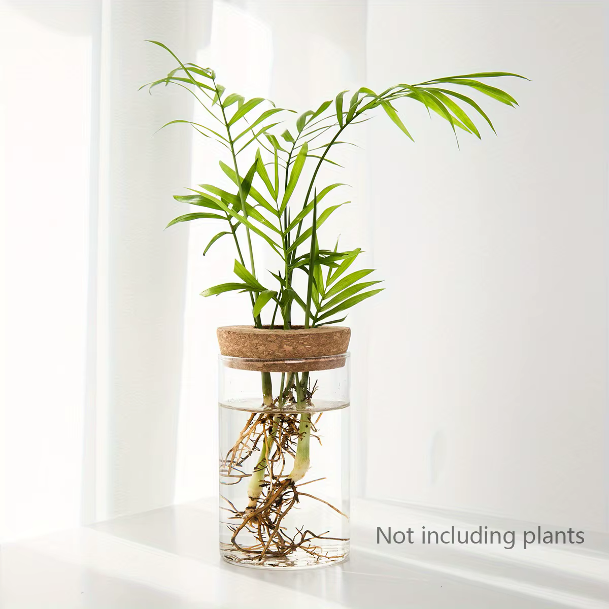 1pc, Vase de jardinière en verre de bureau pour plantes hydroponiques pour la décoration de la maiso