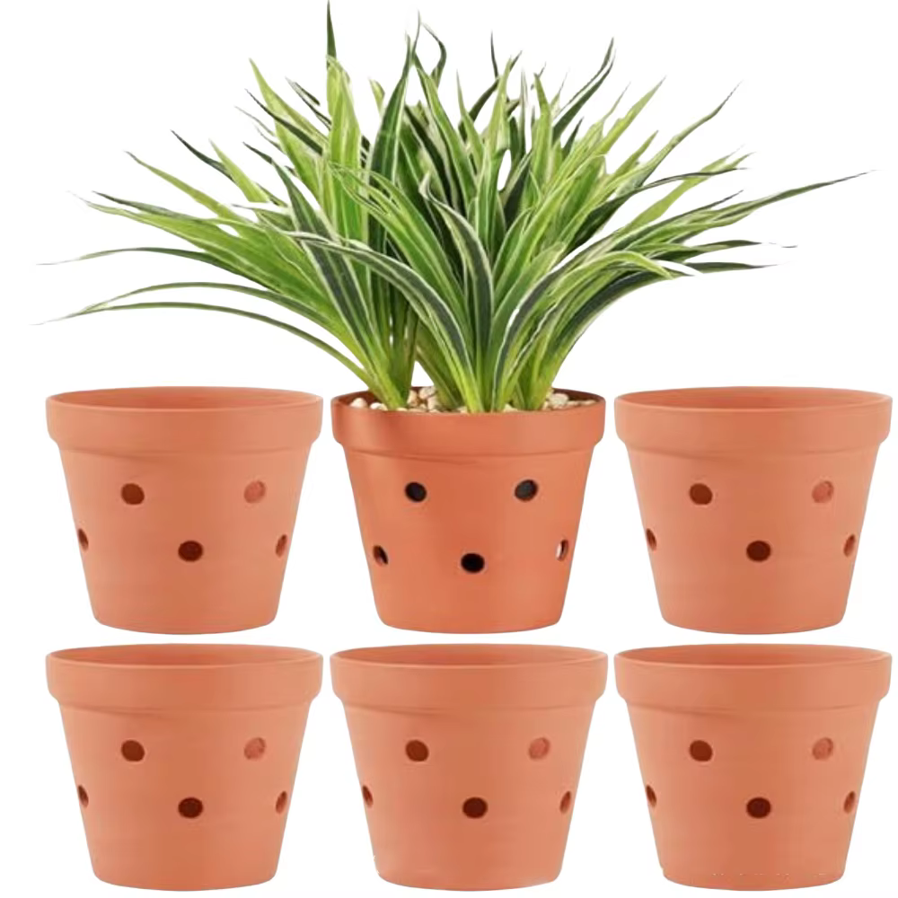 Pot d'orchidée en terre cuite de 4.5 pouces, 6 pièces, avec trous de Drainage, pour repoulter la Cir