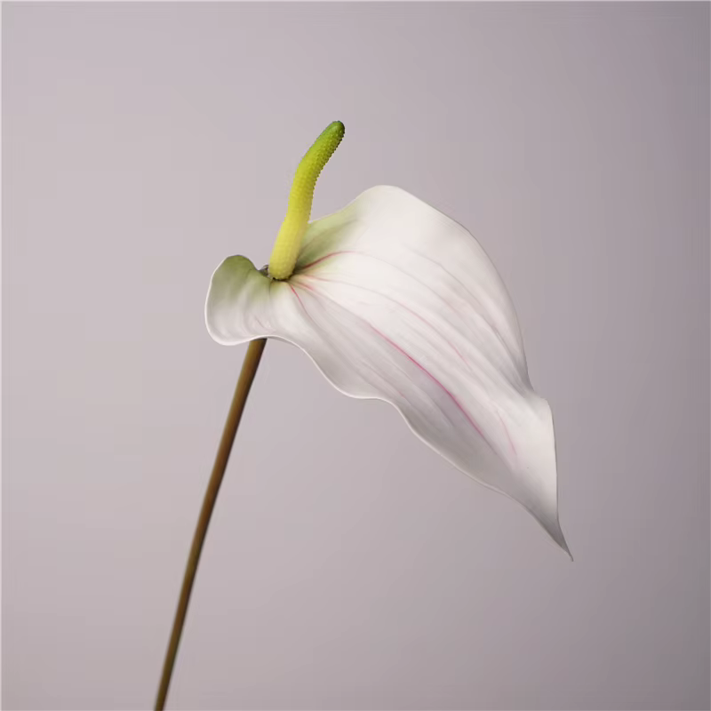 Fleur de palmier artificielle en Latex Anthurium, 5 pièces/lot, plantes au toucher réel, arrière-pla