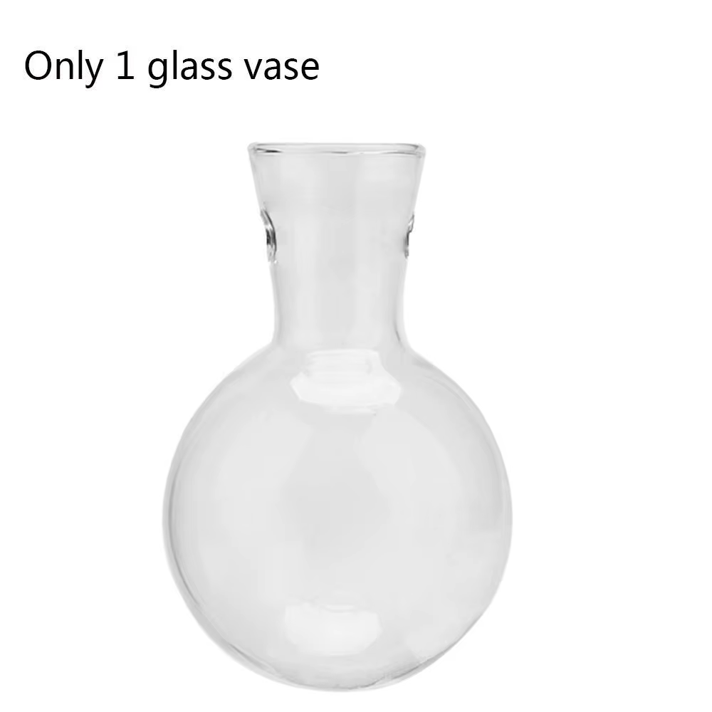 Vase en verre pour plantes hydroponiques, pot de fleur bonsaï vintage, terrarium britannique, cadre 