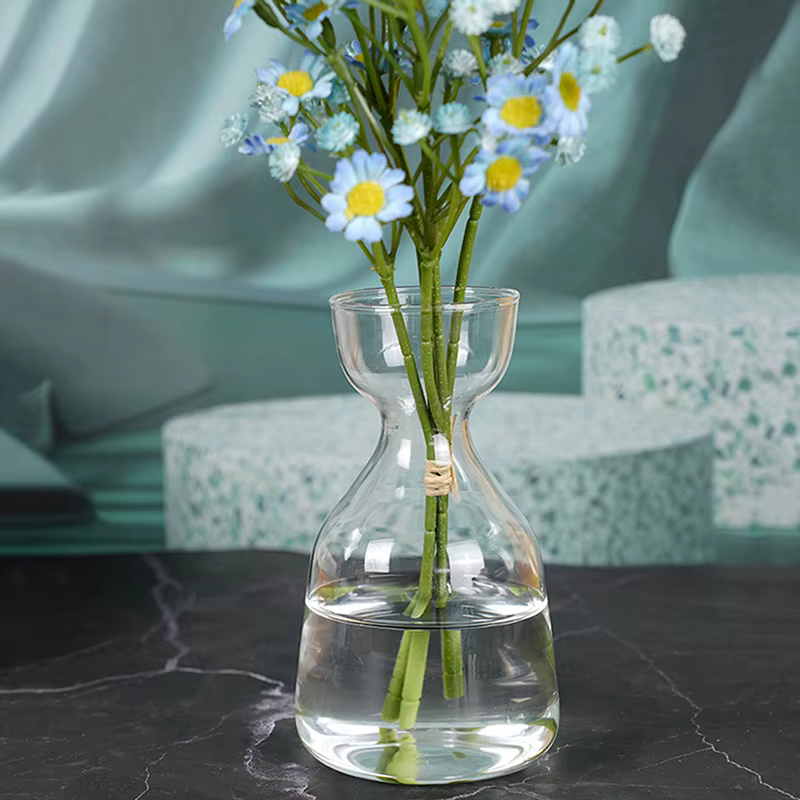 Vase de démarrage de graines d'avocat, Vase en verre Transparent pour plantes en croissance, Kit de 