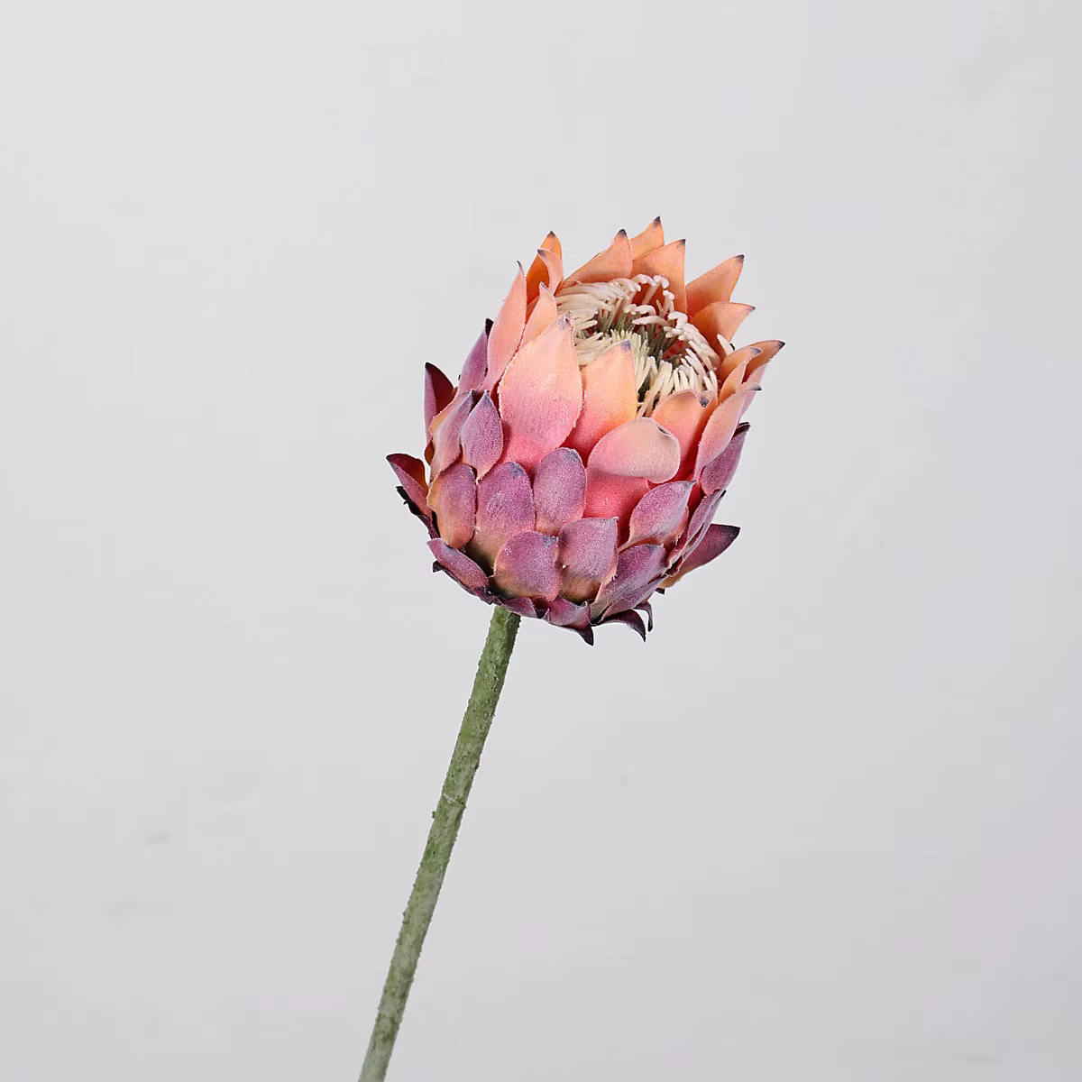27,5 pouces artificielle roi Protea fleur chardon nordique fausse fleur Bouquet mariage décor à la m