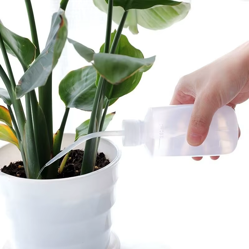 Arrosoir bonsaï pour plantes succulentes, 250/ 500ml, outil de jardinage à bec long