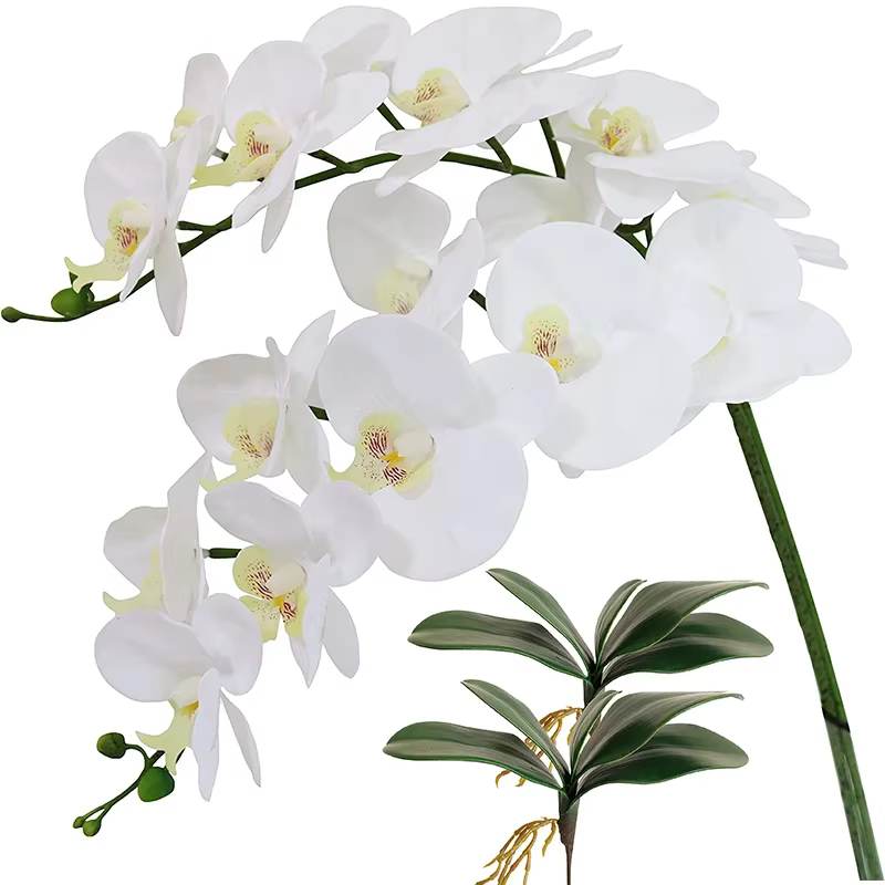 Fleurs artificielles phalaenopsis, 40 pouces, orchidées en latex, toucher réel, pour la maison, le b