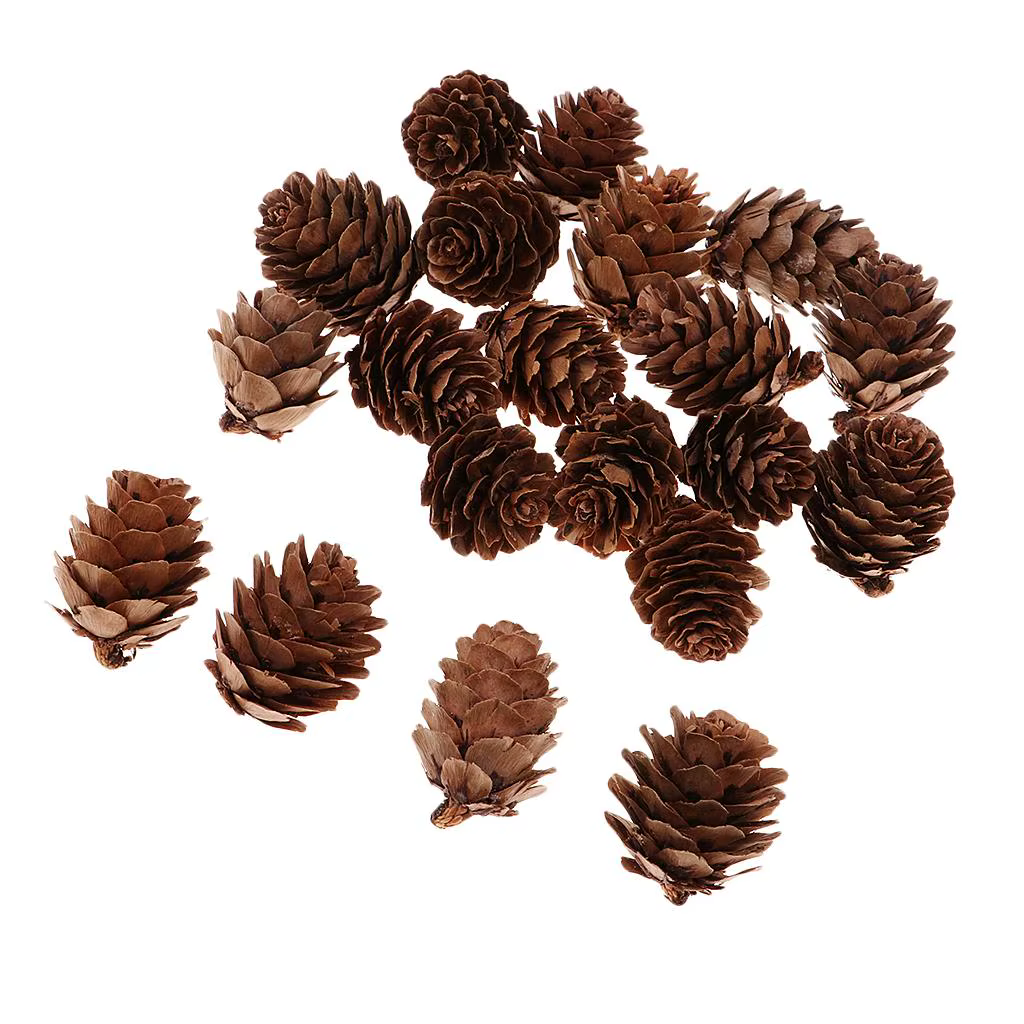Pommes de pin décoratives naturelles, 20 pièces, fleurs séchées pour noël, belle décoration de maria