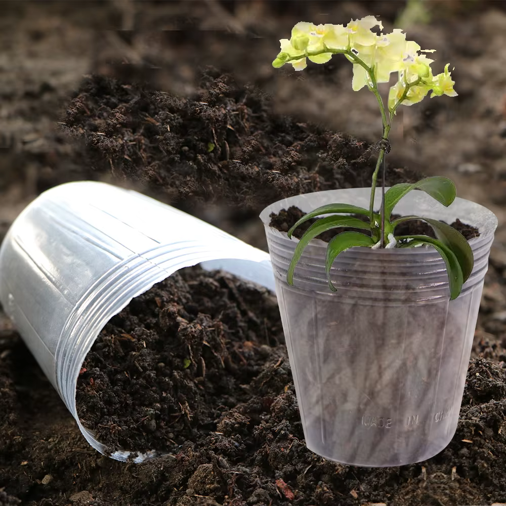 Pot de pépinière d'orchidée transparent réutilisable, 10 pièces, gobelets de Nutrition pour culture