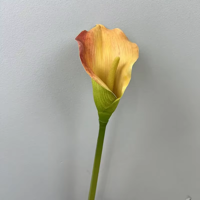 Simulation de fleurs artificielles Calla Lily pour décoration d'hôtel, PU Real Touch, fausses fleurs