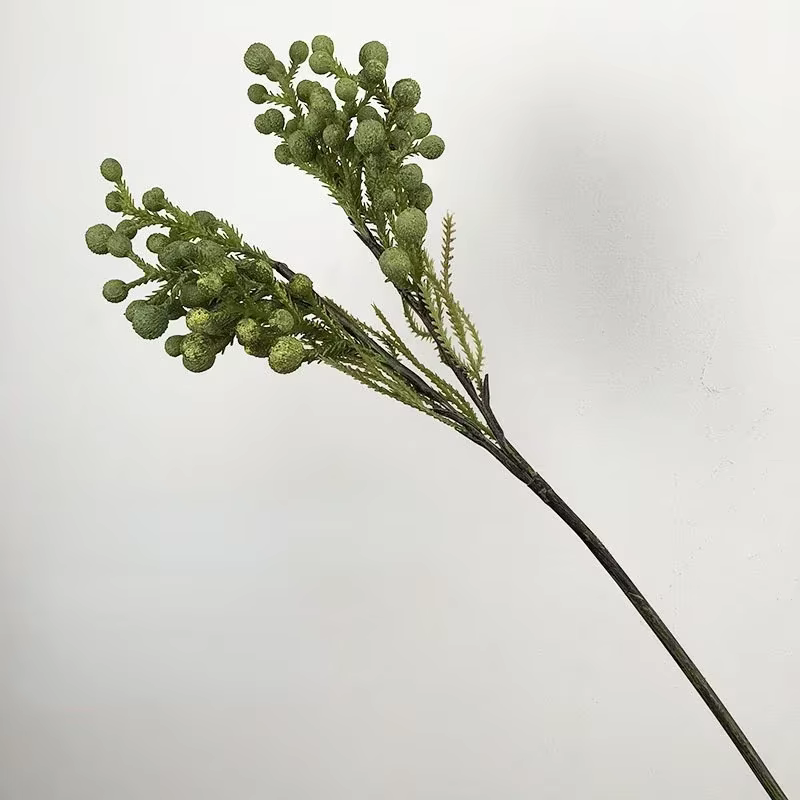 Simulation de plantes vertes décoratives d'hôtel, branche de pin-berry sud-africain, café, décoré av