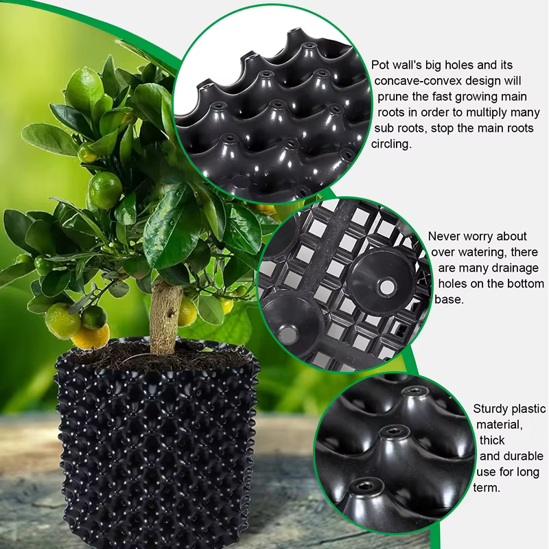 Poterie pour plantes, contrôle des racines, Pots de pépinière, entraîneur de racines rapides, conten
