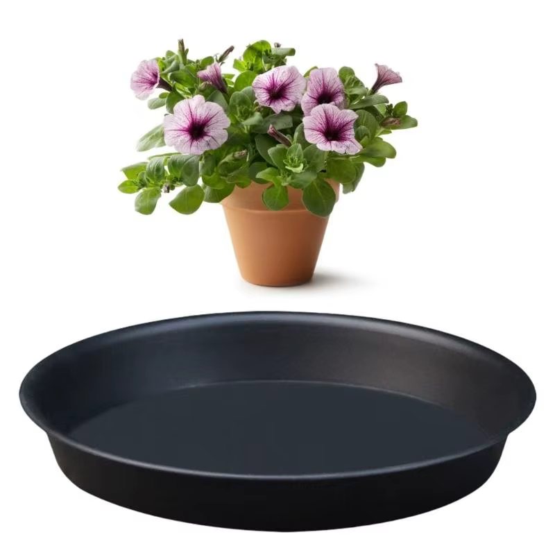 Soucoupes plantes épaissi des plateaux fleurs à goutte en plastique rond pour maintenir santé du jar