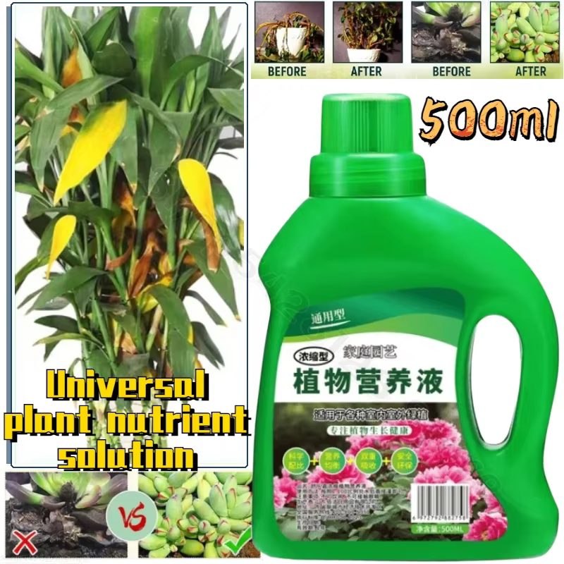 Solution hydroponique pour plantes nutritives, navigateur de fleurs de bambou, en pot, vert concentr