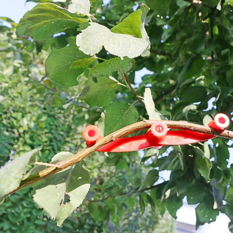 Clip d'entraînement pour plantes, Clips Support réglables à faible Stress pour tige, accessoires jar