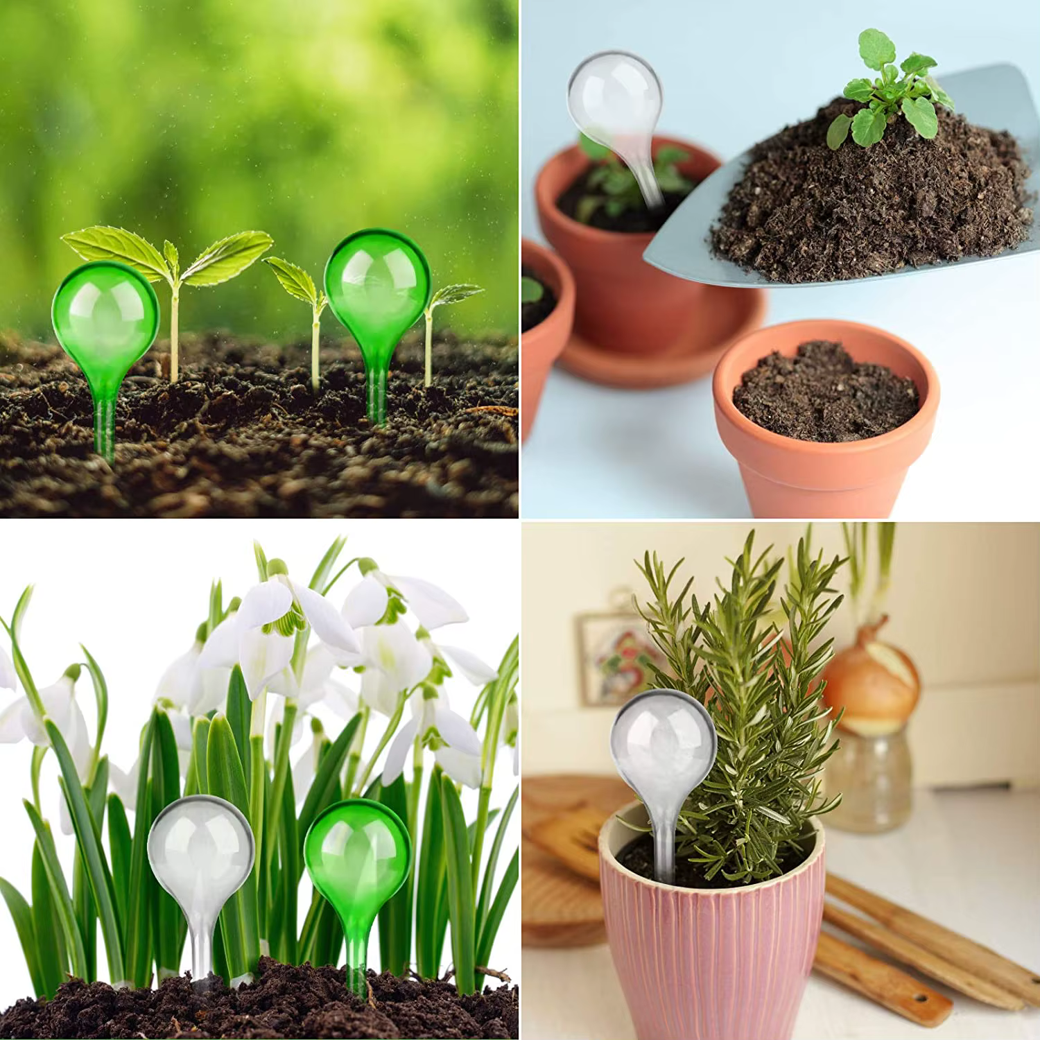 Ampoules d'arrosage automatique pour plantes, 5/12 pièces, Globes d'arrosage automatique, boules en 