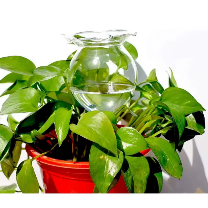 Dispositif d'arrosage automatique pour plantes, boule d'arrosage, pointe d'arrosage, verre transpare