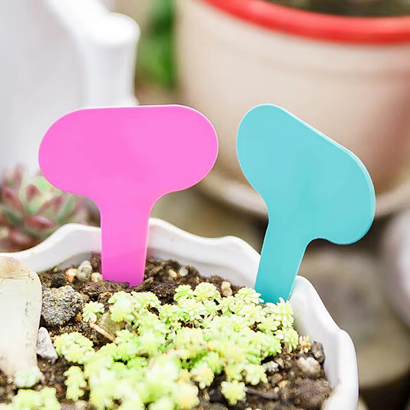 Étiquettes de jardin, 100 pièces, Classification des plantes, signe de tri, billet, plaque d'écritur