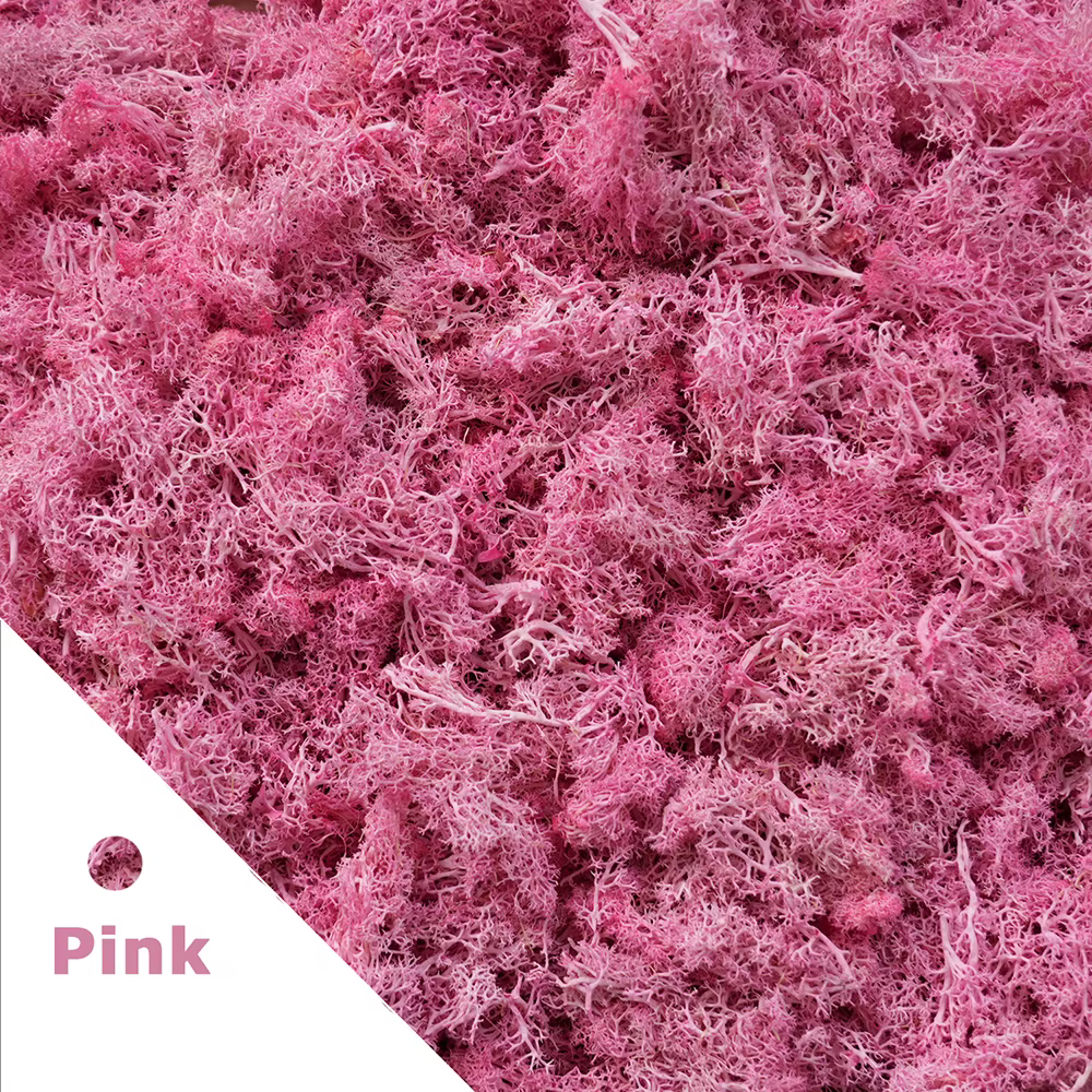 Plantes vertes artificielles de paysage, 200g, Mini vie éternelle, mousse, fausse herbe, jardin, sal