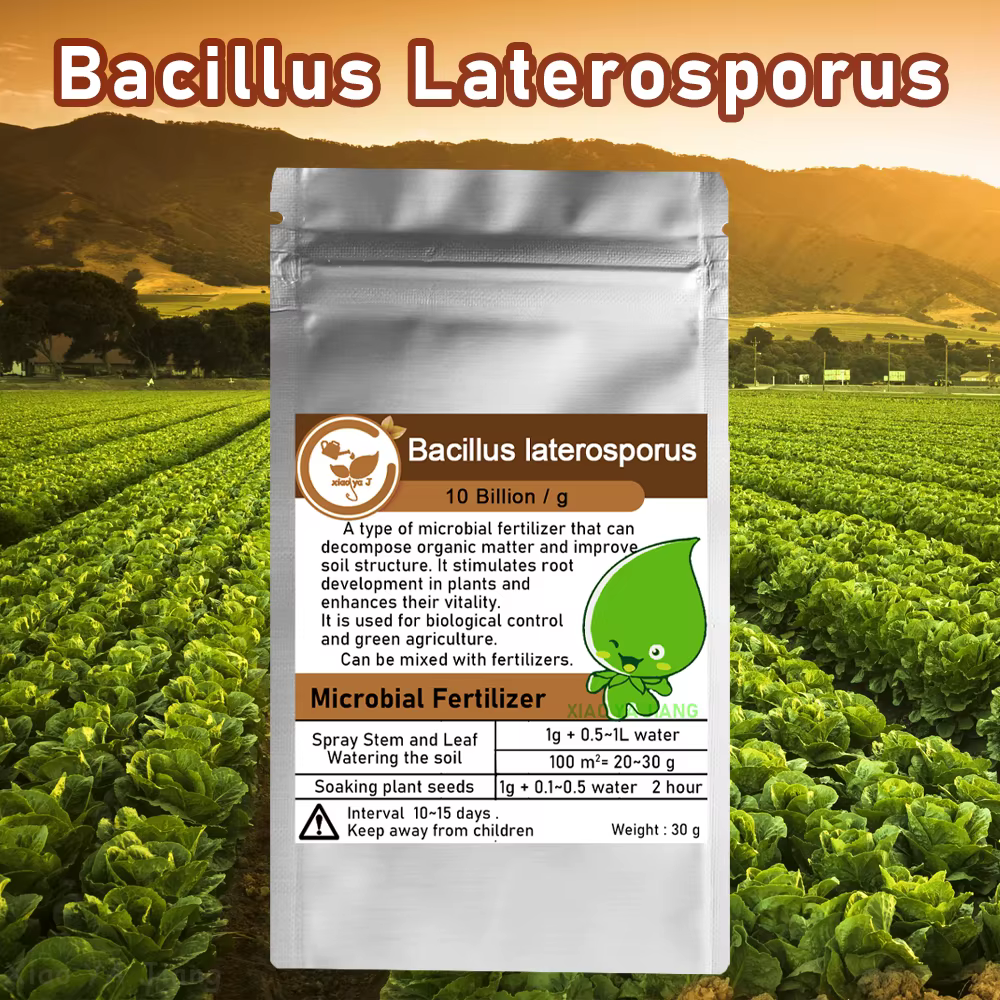 Engrais organique vert Bacillus Lateralosporus, 30g, pour usage agricole, augmente la croissance des