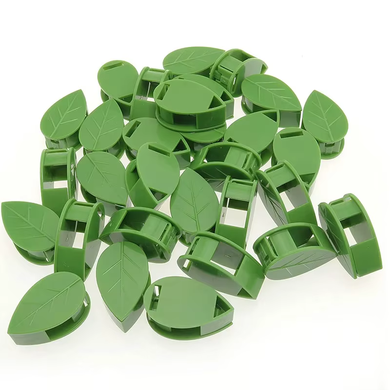 Clips de fixation murale pour plantes grimpantes, autocollant en acrylique, crochet auto-adhésif, su
