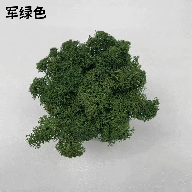 Plantes miniatures modèle mousse artificielle bricolage artisanat herbe jardin décoration ferroviair