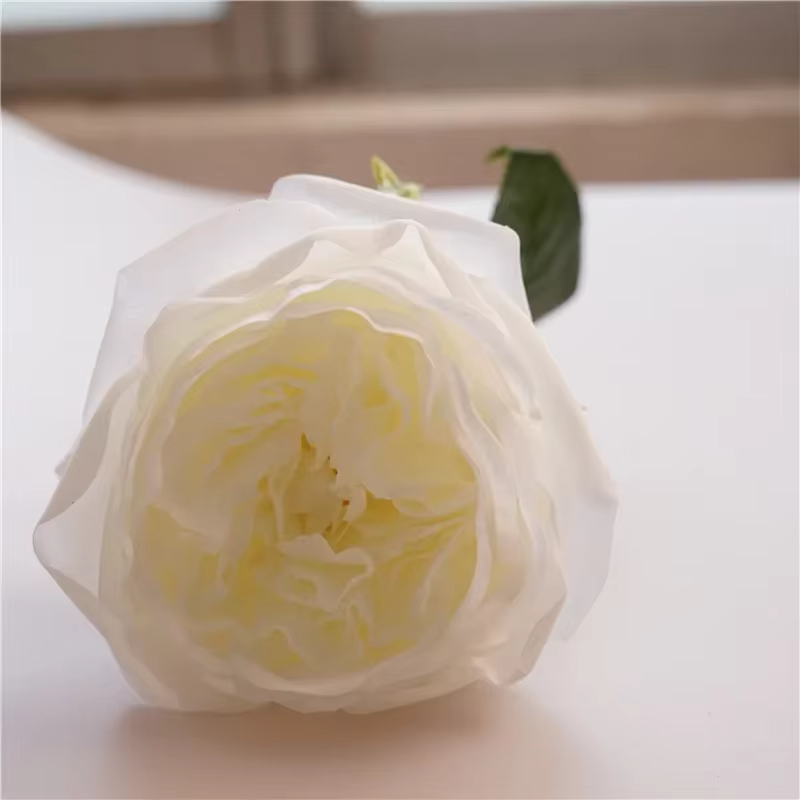 Bouquet de roses hydratantes, 5 pièces, vraie touche, décoration pour la maison, pour fête de mariag