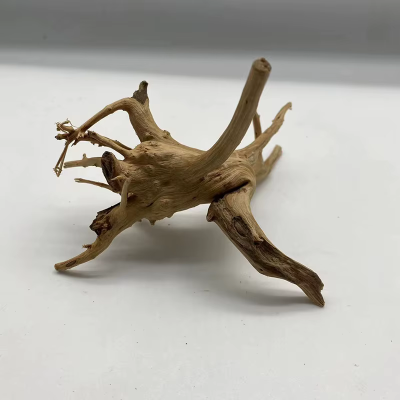 Tronc d'arbre naturel en bois flotté, plante d'aquarium, décoration en bois, ornement d'aquarium, ac