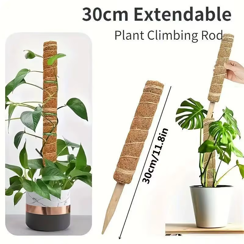Support de grimpement pliable en mousse de coco de 30-100 cm pour plantes grimpantes d'intérieur, su