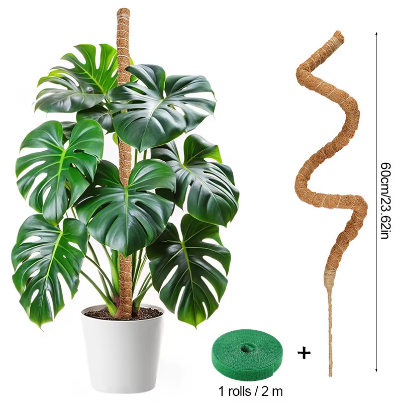 Support de Plantes en Fibre de Coco Flexible pour Trepieds, Bâton d'Extension pour Palmiers, Décorat