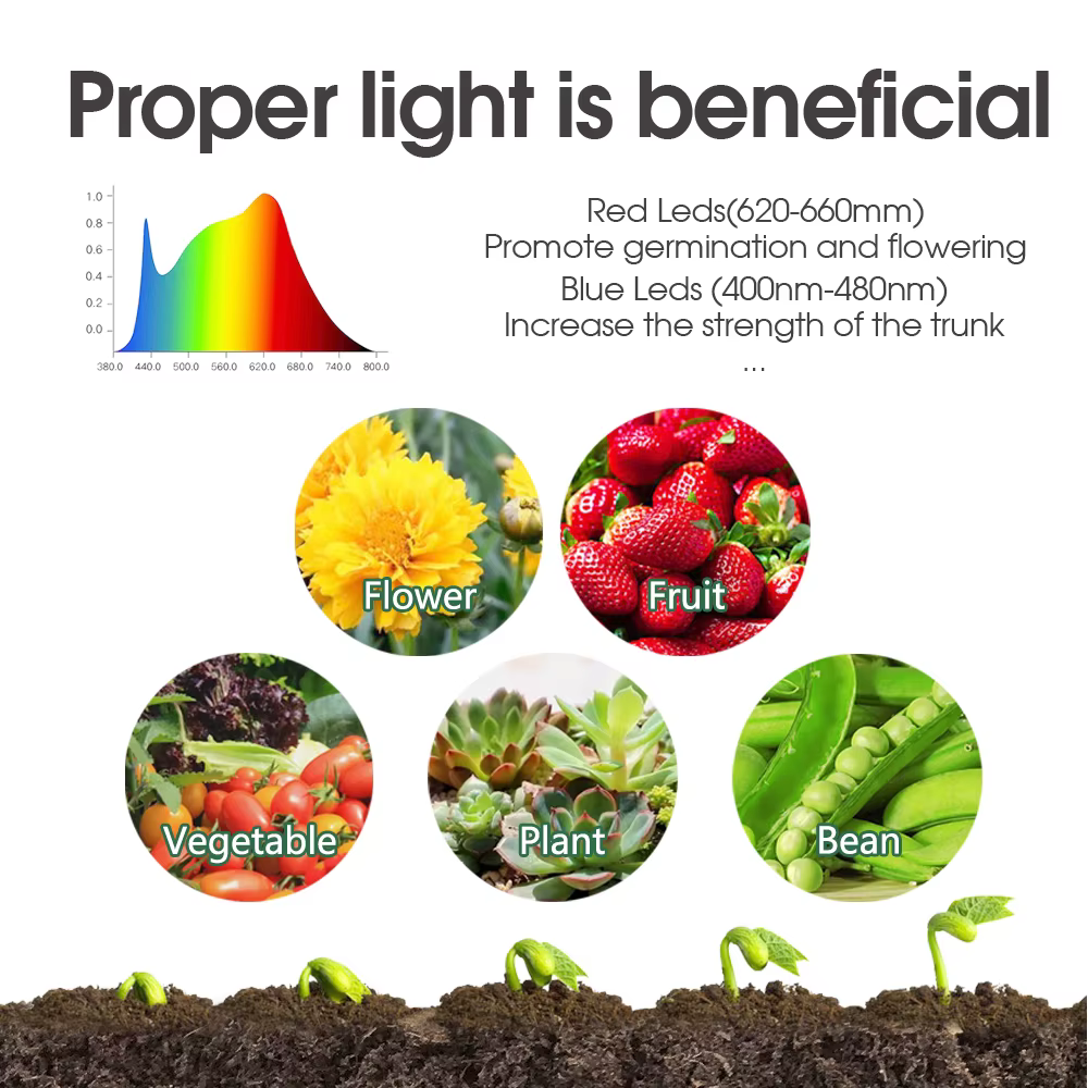 Graines Starter Germination Box Réglable 8-4 Perles LED Grow Lights Green Propagation Growing Contai