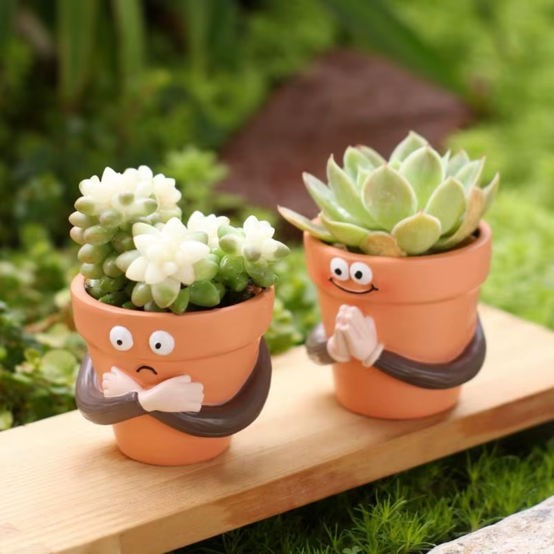 Pots jardinière à main en résine, drôles, avec visages expressifs, Pot fleur Unique pour plantes suc