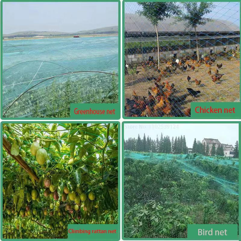 Filet anti-oiseaux à 0.5 mailles pour filet de protection des légumes, filet anti-insectes pour plan