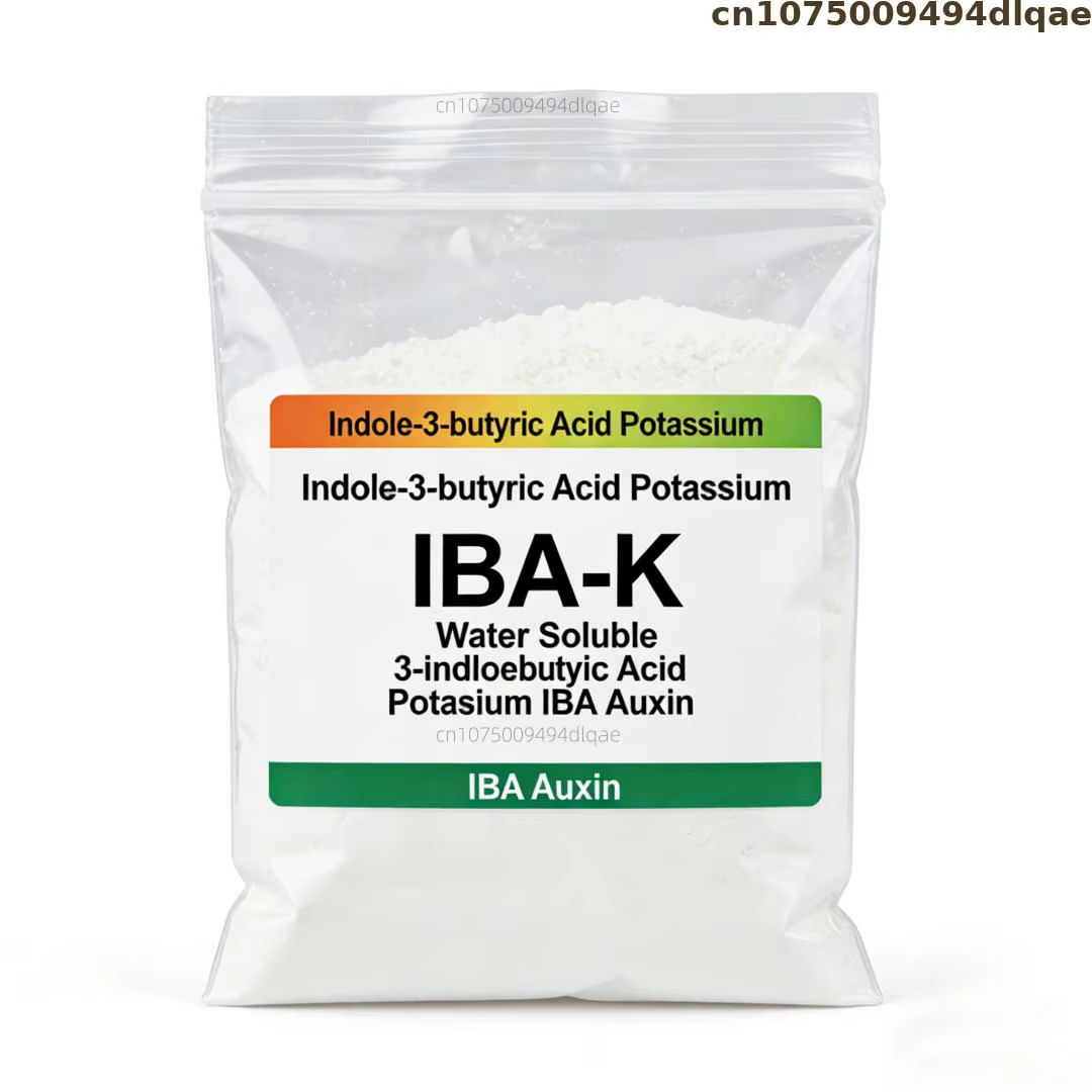 Sel de potassium d'acide indole-3-butyrique (IBA-K) soluble dans l'eau 98% TC - Hormone d'enracineme