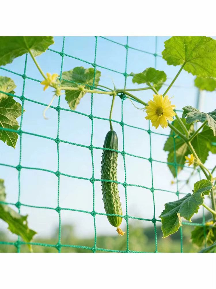 Filet de treillis pour plantes grimpantes, réutilisable, anti-âge, pour tomates, concombres, haricot