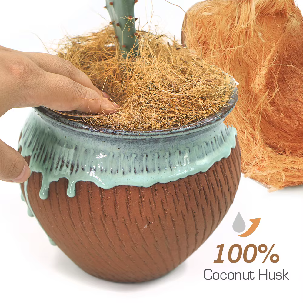 50g-500g naturel organique coquille de noix de coco soie longue coquille de noix de coco fibre pour