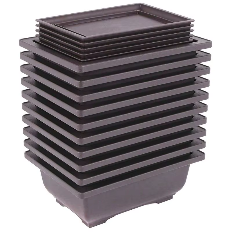 AFOURT-10 pots de culture pour bonsaï avec plateau, pots de culture en plastique pour plantes bonsaï