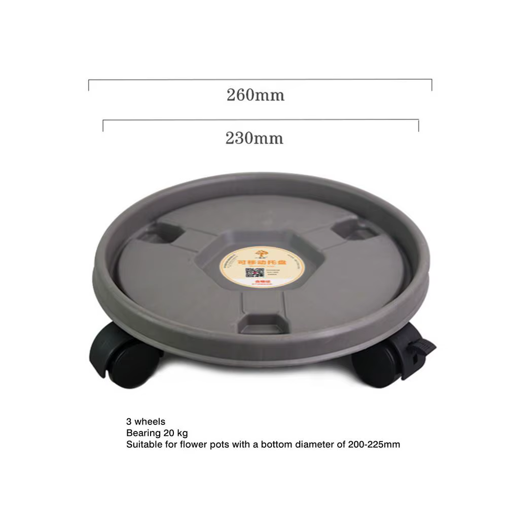 Support de pot de fleurs, soucoupe ronde pour plantes, support amovible pour plantes en pot, plateau
