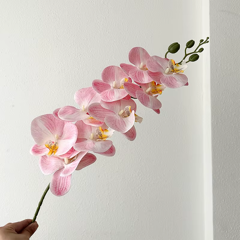 Orchidée papillon artificielle en latex, 9 têtes, fausses fleurs, sensation de main, décoration de c