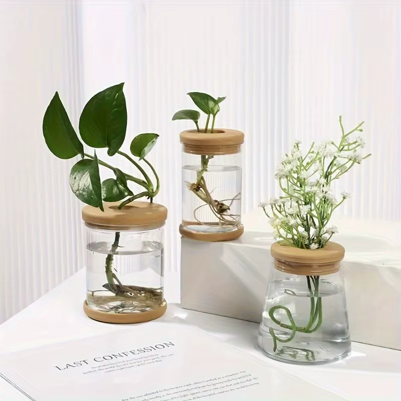 Station de culture de plantes, Pot de fleur en verre de bureau, Vase en verre avec couvercle et plat