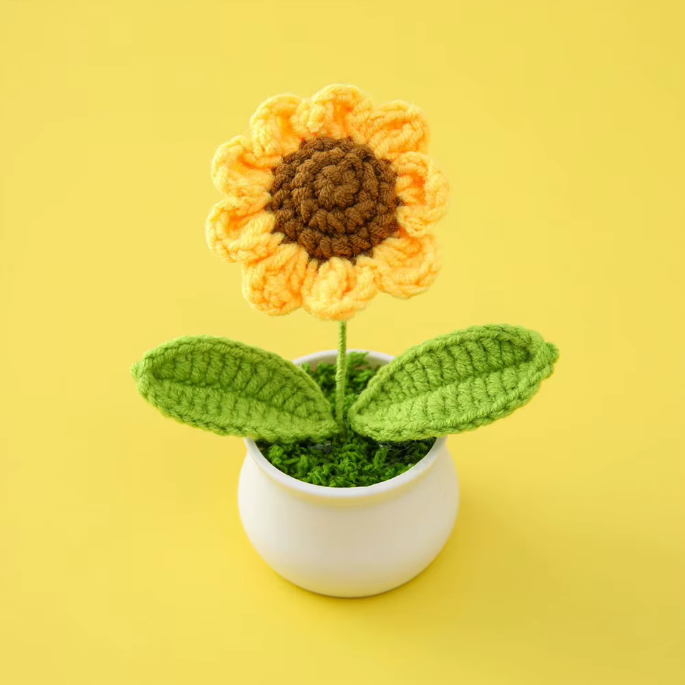 Mini-plantes en pot tissées à la main DIY : Rose, Tulipe, Marguerite – Décoration de bureau et de ma