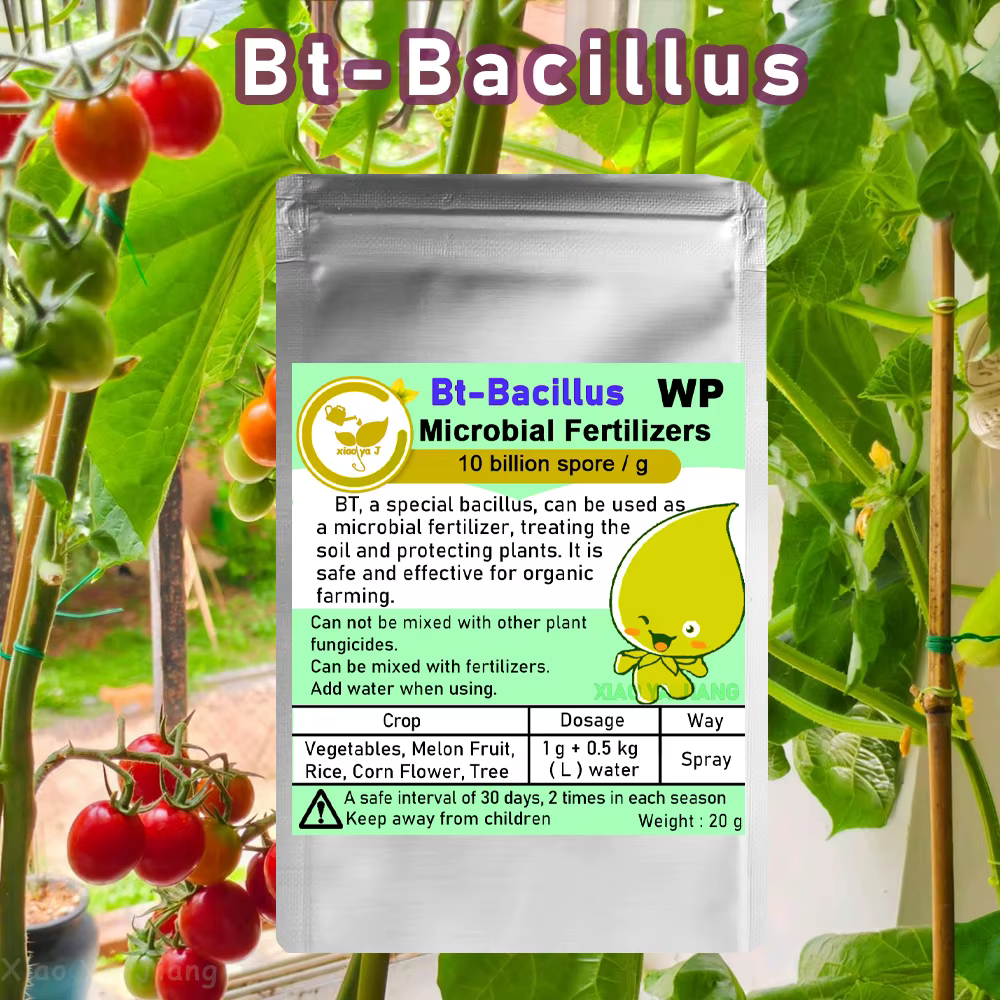 Agent microbien Bt-Bacillus, 20g, engrais pour l'agriculture organique, légumes et cultures, protège