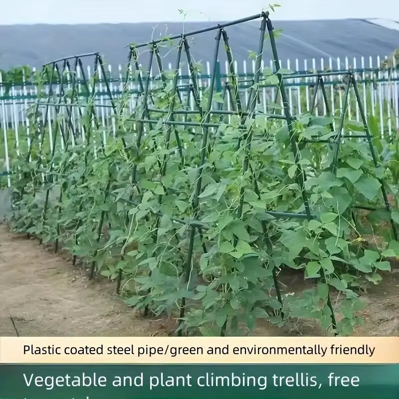 Piquets de support de plantes polyvalents, "Croissance robuste", treillis durable pour légumes et vi