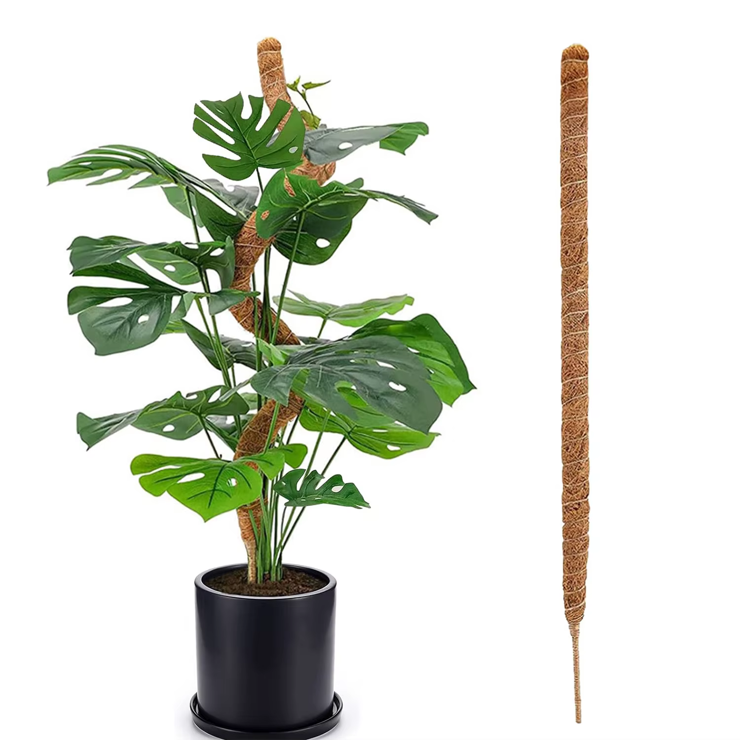 Poteau d'escalade pour plantes, bâton pliable marron noix de coco, colonne en rotin grimpant pour pl